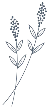 Flor