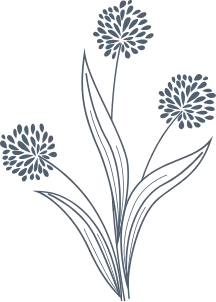 Flor